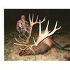 Image 1 : Arizona Hualapai Reservation 2021 Special Bull Elk Permit