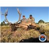 Image 2 : Arizona Hualapai Reservation 2021 Special Bull Elk Permit