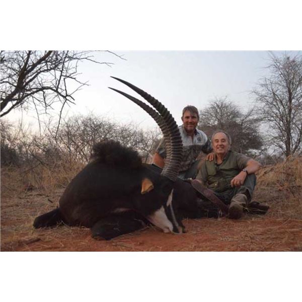 Schoongezicht Hunting Safaris, 7 Day African Safari, 1 Hunter, Includes 1 Sable, Discount for Cape B