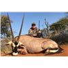 Image 3 : Schoongezicht Hunting Safaris, 7 Day African Safari, 1 Hunter, Includes 1 Sable, Discount for Cape B