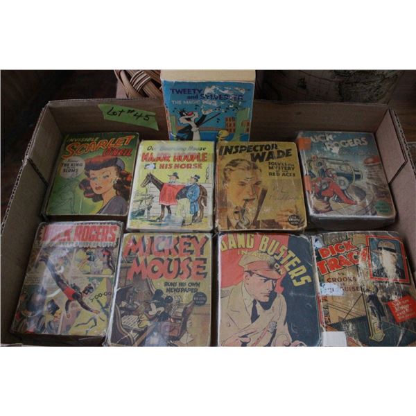 Collection of Little Big Books (9)