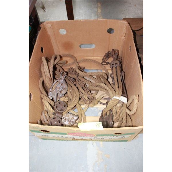 2 Ropes with Pulleys