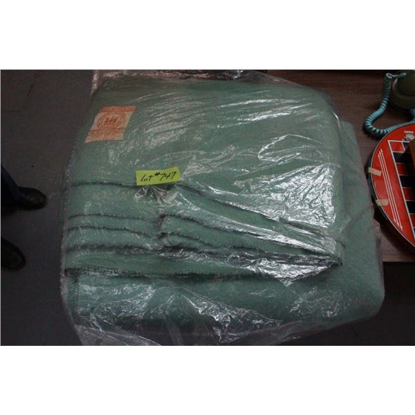 Hudson's Bay Woolen Blanket - 4 point blanket