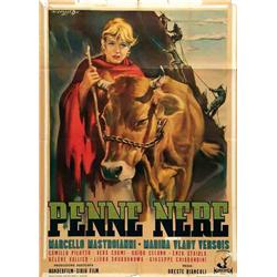 Italian movie poster - PENNE NERE