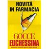 Image 1 : Advertising poster - EUCHESSINA