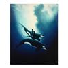 Image 1 : Wyland, "Orca Trio" Limited Edition Cibachrome, Numbered and Hand Signed with Certificate of Authent