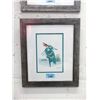 Image 1 : Richard Shorty Framed Print - Green Heron