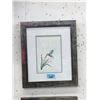Image 1 : Richard Shorty Framed Print - Hummingbird