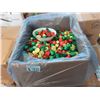 Image 1 : two 30 Pound Box of Foil Wrapped Chocolate Bells