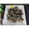 Image 1 : Tray of Assorted Raw Amber Pieces