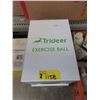 Image 1 : 2 New Trideer Exercise Balls