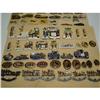 Image 2 : LOT OF APPROX. 78 LIONS CLUB PINS