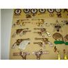 Image 6 : LOT OF APPROX. 109 LIONS CLUB PINS