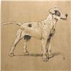 Image 1 : Early 1900's Lithograph, A Dog Day