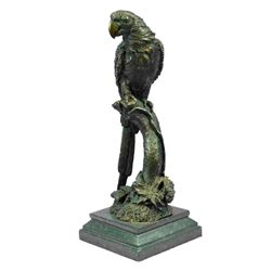 Signed Brazilian Parrot Bronze Sculpture
