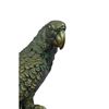 Image 4 : Signed Brazilian Parrot Bronze Sculpture