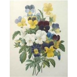 After Pierre-Jospeh Redoute, Floral Print, #97 Bouquet de Pansees ( Pansies )