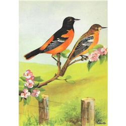 1920's Oriole Color Lithograph Print