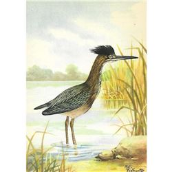 1920's Green Heron Color Lithograph Print