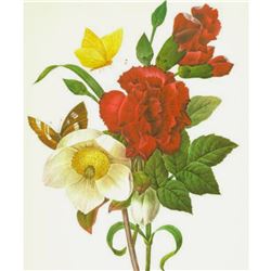 After Pierre-Jospeh Redoute, Floral Print, #35 Ellebore ( Clove, Carnation, Christmase Rose )