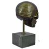 Image 4 : Skeleton Skull Bronze Sculpture