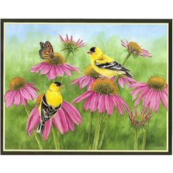 Color Lithograph, Goldfinches, Butterfly and Coneflowers