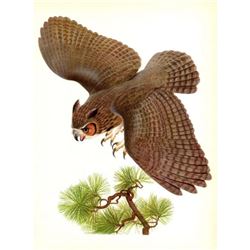 1950 Menaboni Print, Great Horned Owl