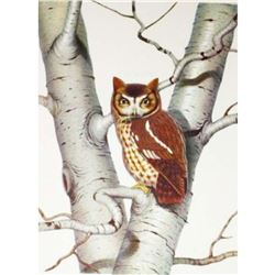 1950 Menaboni Print, Screech Owl