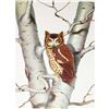 Image 1 : 1950 Menaboni Print, Screech Owl