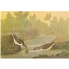 Image 1 : c1946 Audubon Print, #320 Least Sandpiper