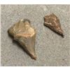 Image 1 : Neolithic Stone Age Sahara Desert Arrowhead Projectile Points