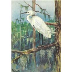 1920's Snowy Egret Color Lithograph Print