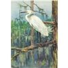 Image 1 : 1920's Snowy Egret Color Lithograph Print