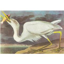 c1946 Audubon Print, #281 Great White Heron
