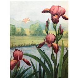 1920's Iris Color Lithograph Print