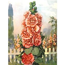 1920's Hollyhock Color Lithograph Print