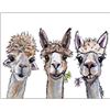 Image 1 : Alpaca Color Illustration Decorative Metal Sign