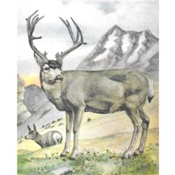 1920's Mule Deer Color Lithograph Print