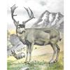 Image 1 : 1920's Mule Deer Color Lithograph Print