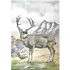 Image 2 : 1920's Mule Deer Color Lithograph Print