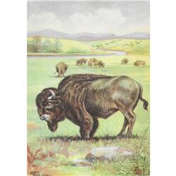1920's Bison Color Lithograph Print