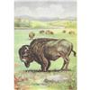 Image 1 : 1920's Bison Color Lithograph Print