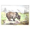 Image 2 : 1920's Grizzly Bear, Color Lithograph Print