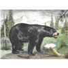 Image 1 : 1920's Black Bear Color Lithograph Print