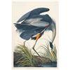 Image 1 : c1946 Audubon Print, #211 Great Blue Heron