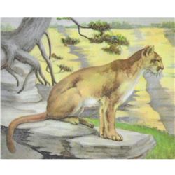 1920's Mountain Lion, Color Lithograph Print