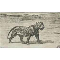 Vintage c1920â€™s Half-tone Print, #1002 Tiger