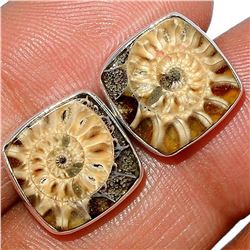 Prehistoric Fossil Ammonite Sterling Stud Earrings