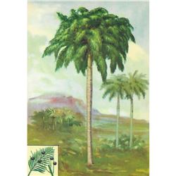 1920's Royal Palm Color Lithograph Print
