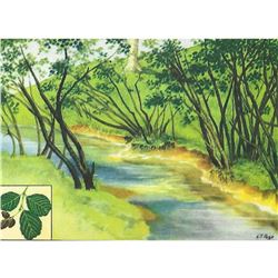 1920's Black Alder Color Lithograph Print